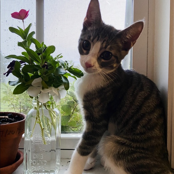 Meet your Posher, Matthew - Picture 14 of 15